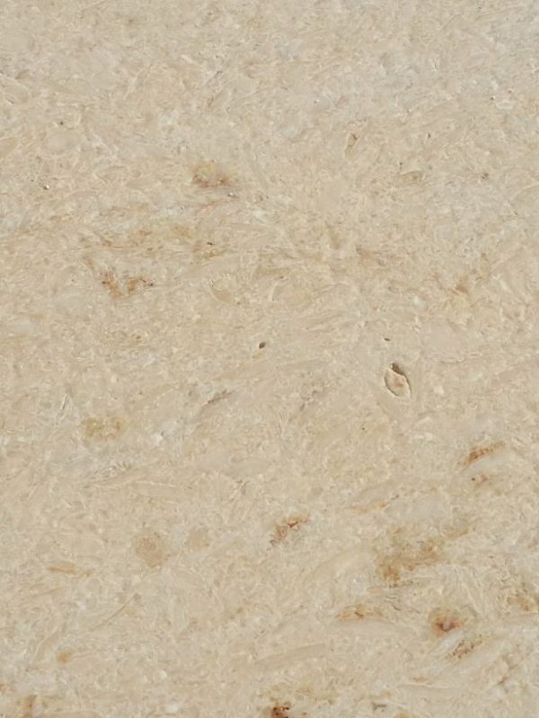 Samaha-Beige (1)