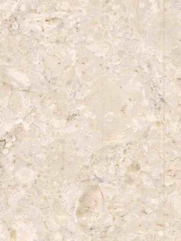 Samaha-Beige (4)