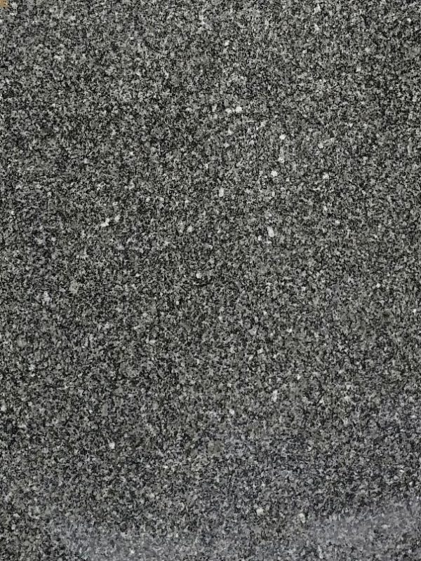 gray-elsherka (1)